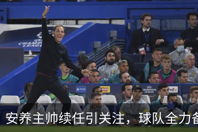 安养主帅续任引关注，球队全力备战新挑战