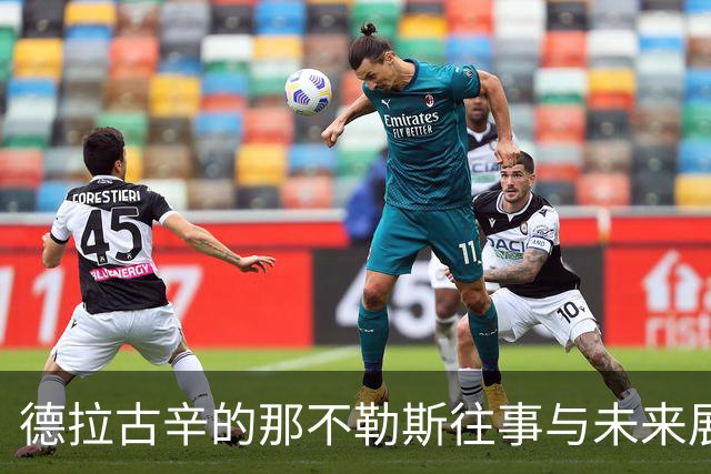 德拉古辛的那不勒斯往事与未来展望